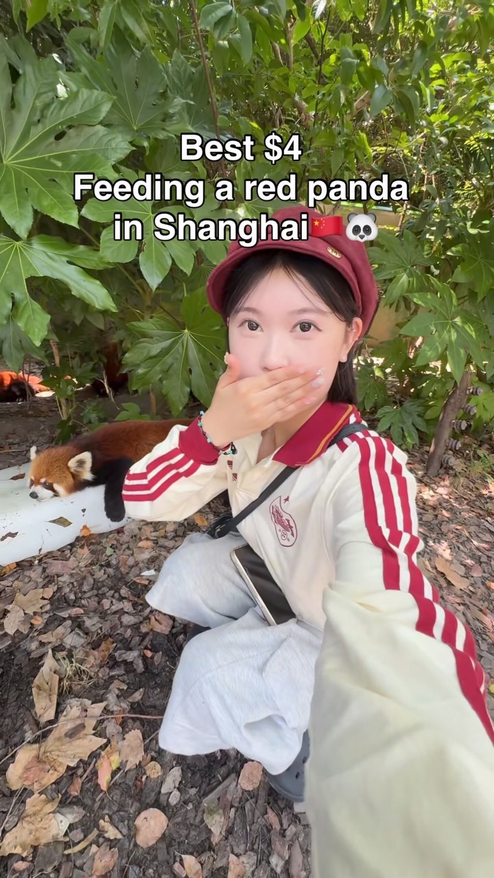 채은 kelly, Shanghai Circus World