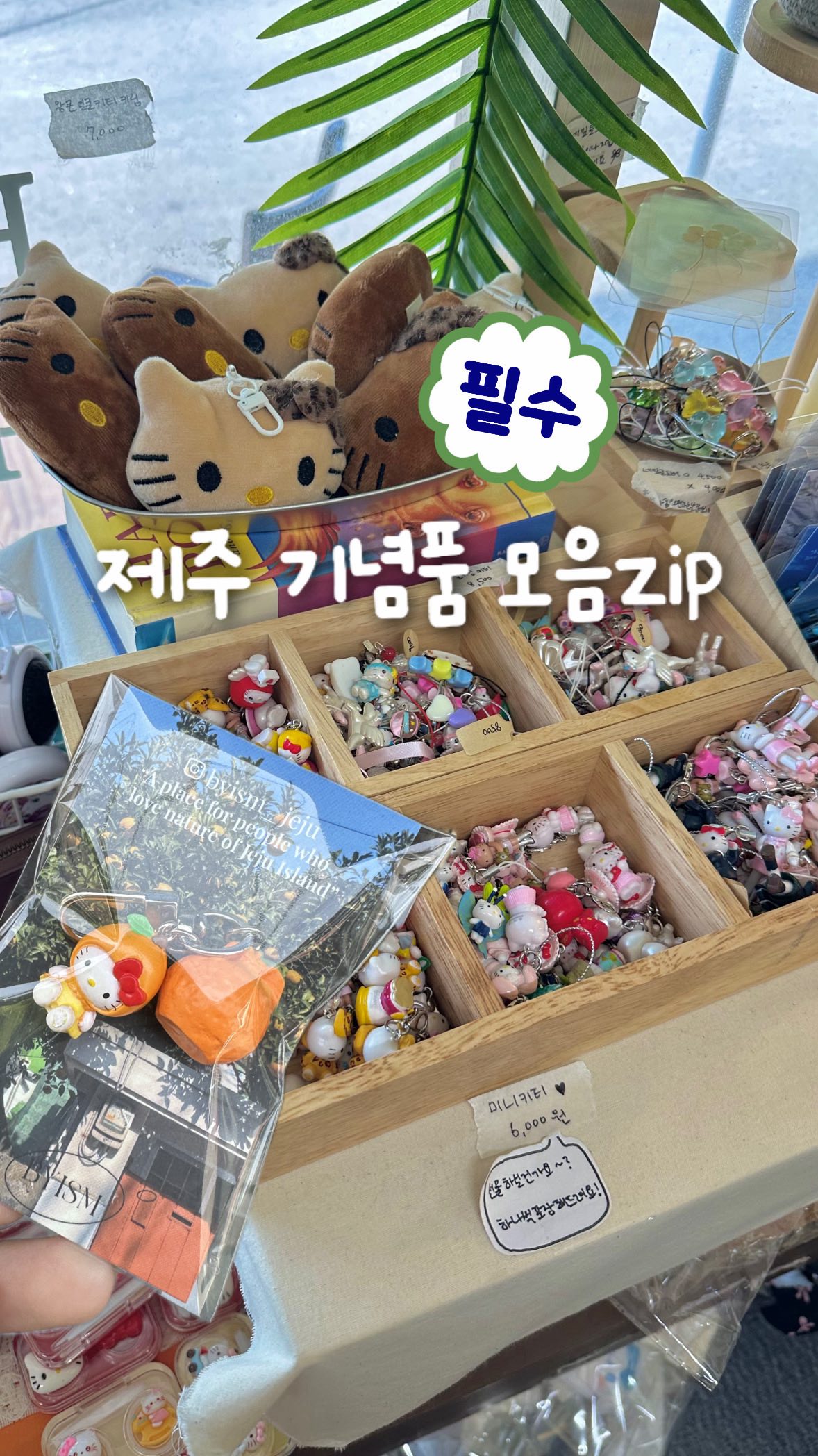 보람🌷부산데이트 • 여행코스, Seogwipo Olle Market