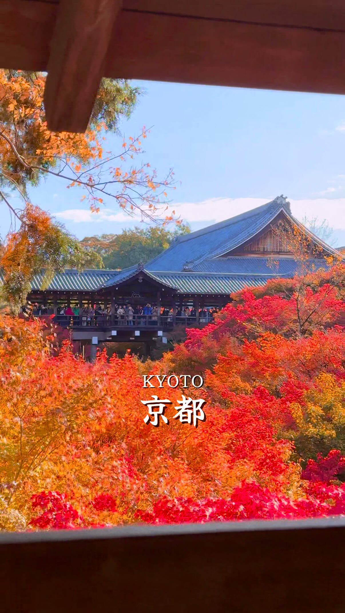 まっちゃ, Kiyomizu-dera