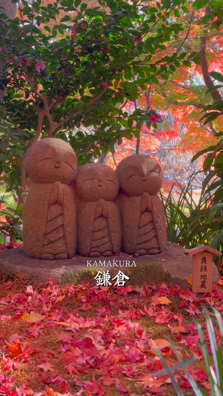 まっちゃ, Kotoku-in