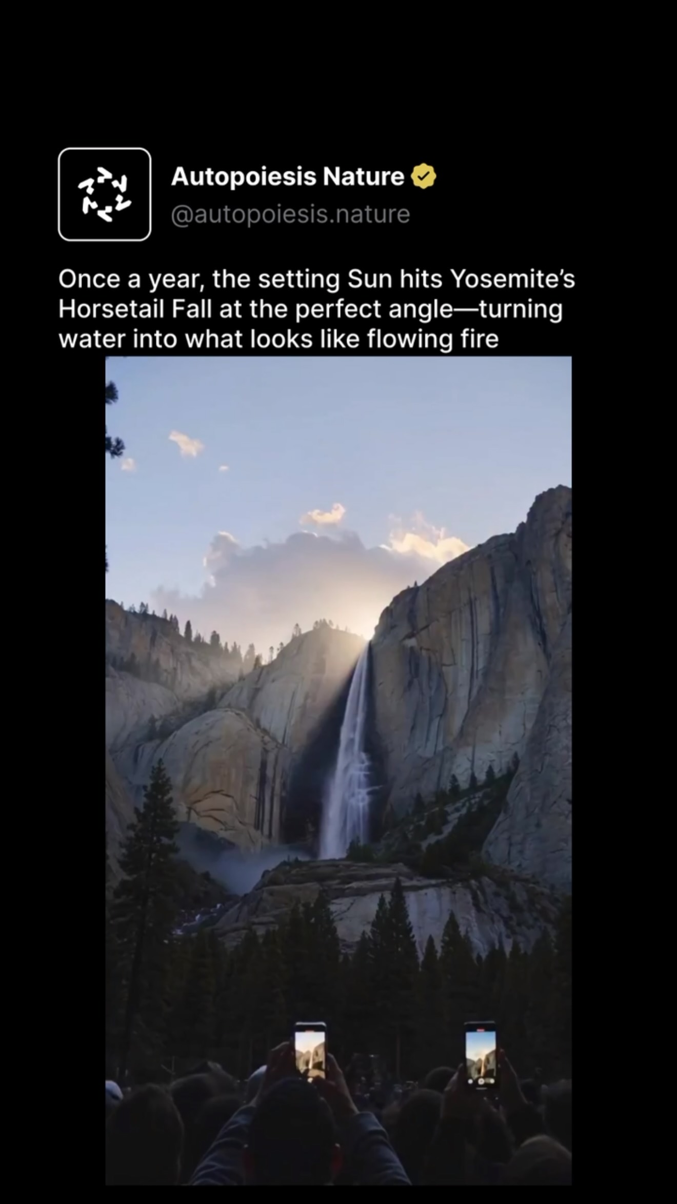 Nature | Animals & Earth Science, Yosemite National Park