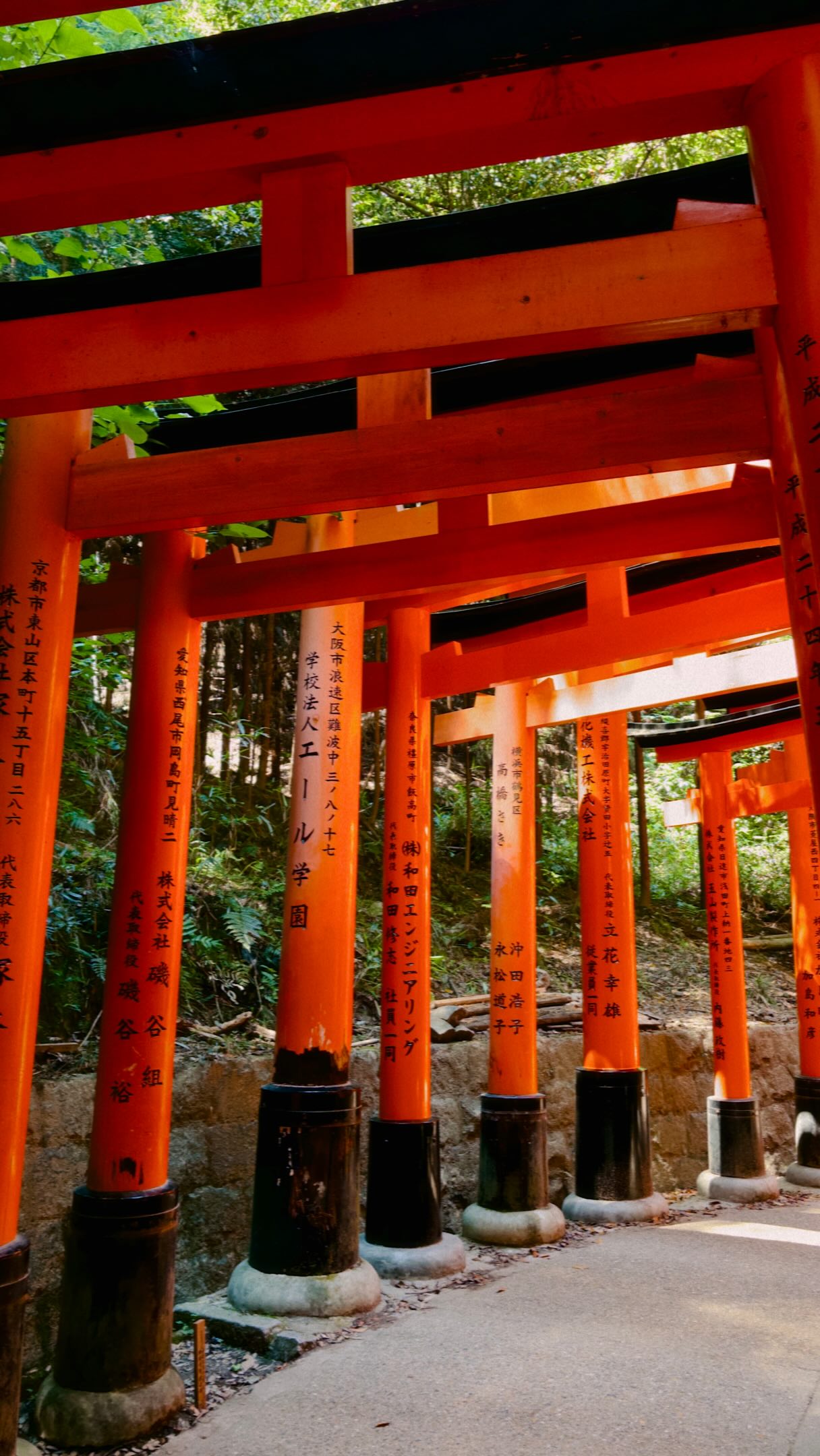 Ming Quek, Fushimi Inari Taisha