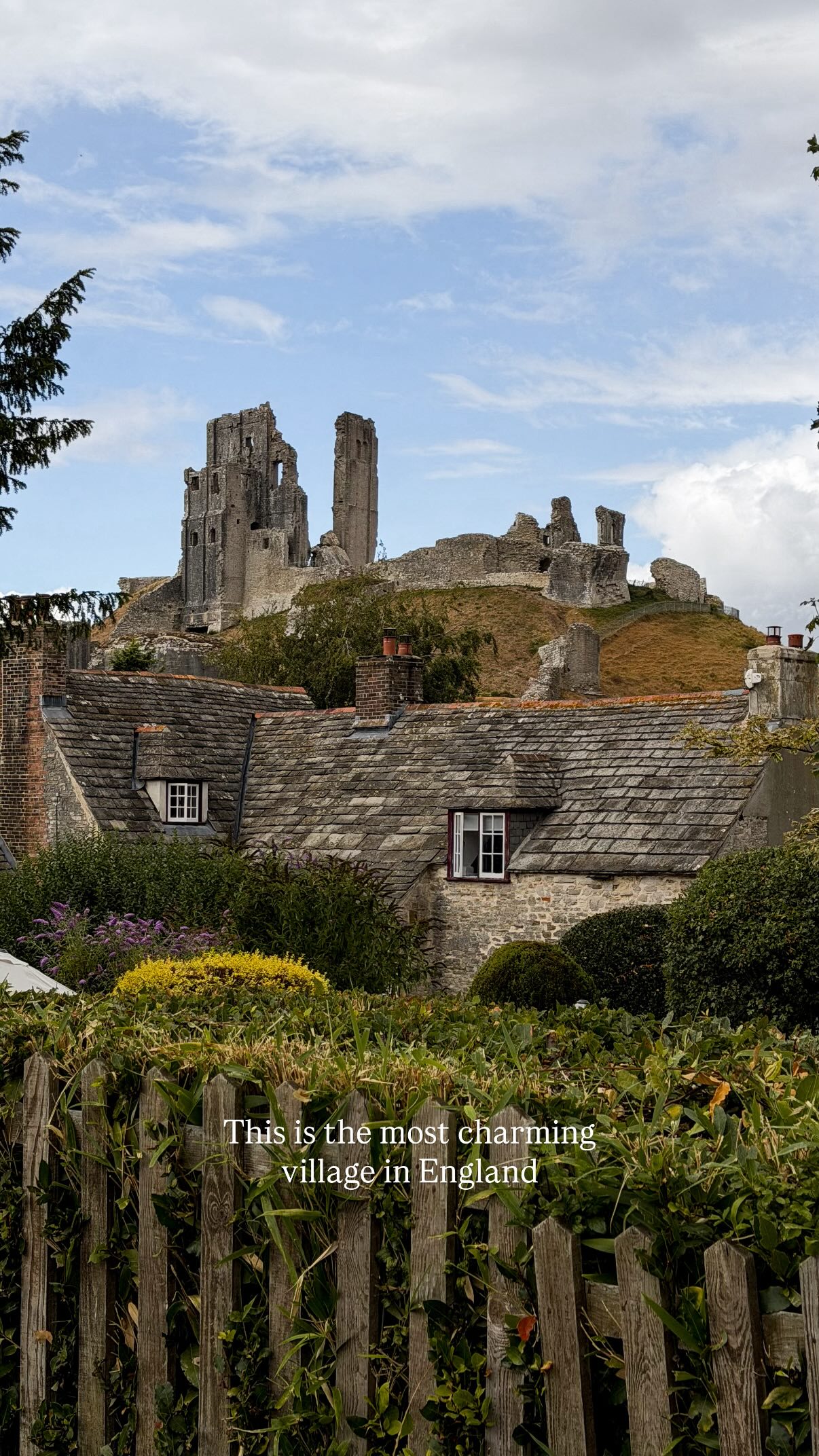 Fleur Anderson, Corfe Castle