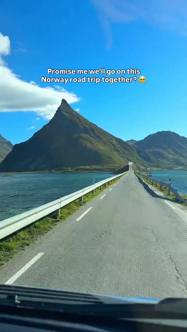 roadsurferfr, Bergen
