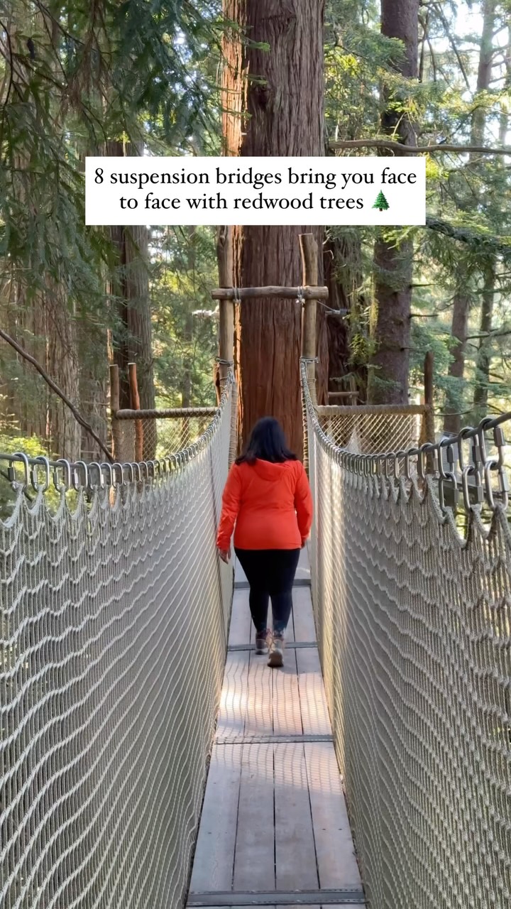 Nell Narasappa | California Travel & Outdoor Adventure, Trees of Mystery