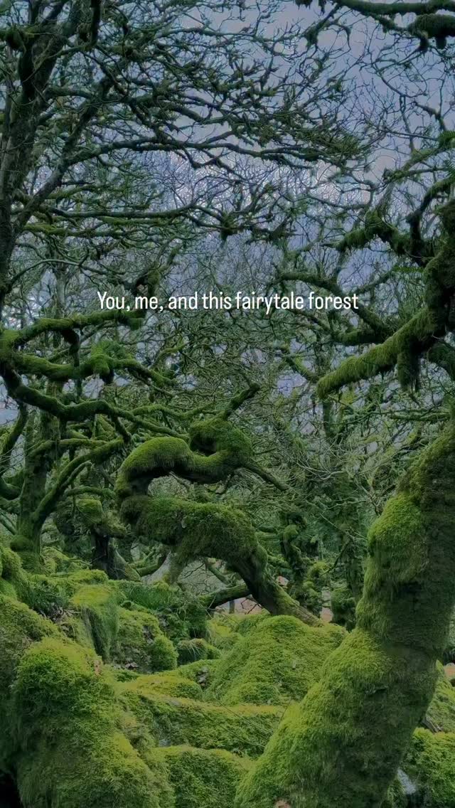 UK Hidden Gems, Dartmoor National Park