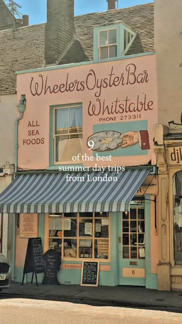 Rosie | UK travel content creator, Brockenhurst