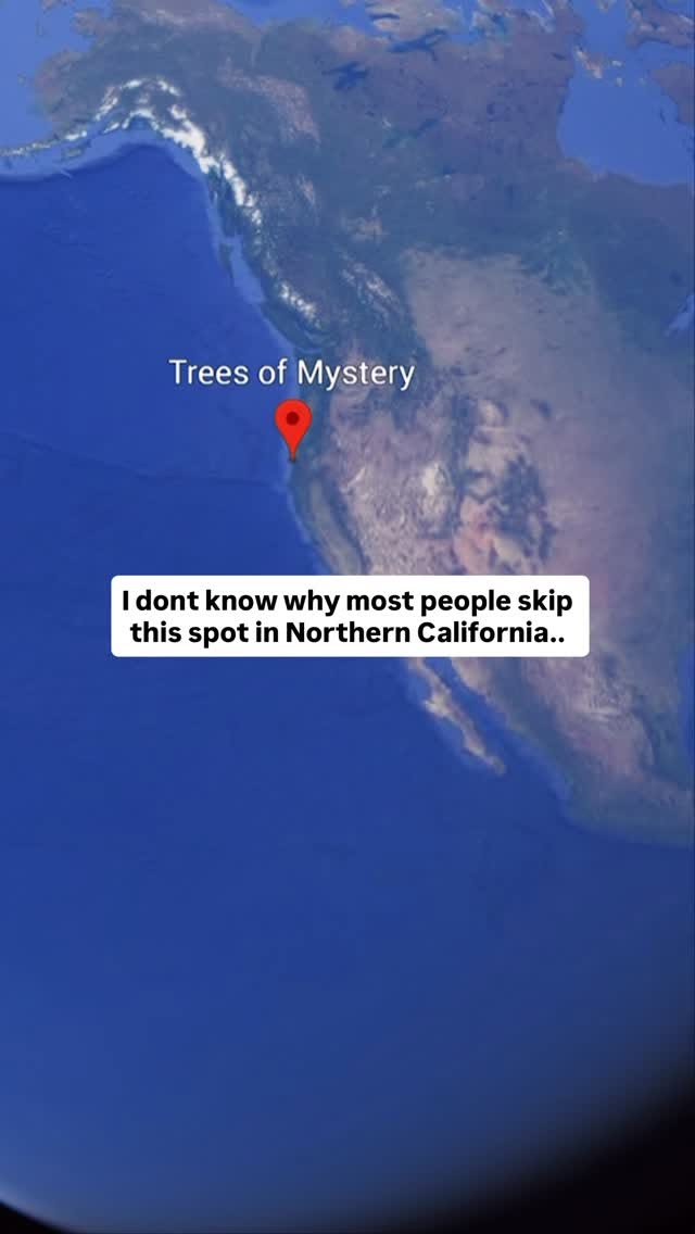 Facebook, Trees of Mystery