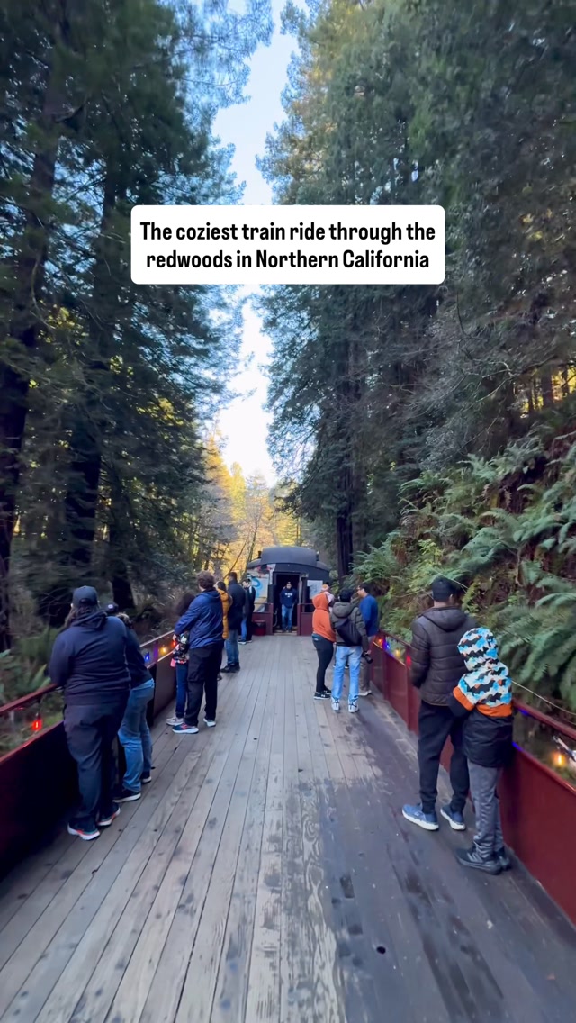 Anjali 🧚🏼‍♀️ | California | SF Bay Area | Travel & Lifestyle, The Skunk Train