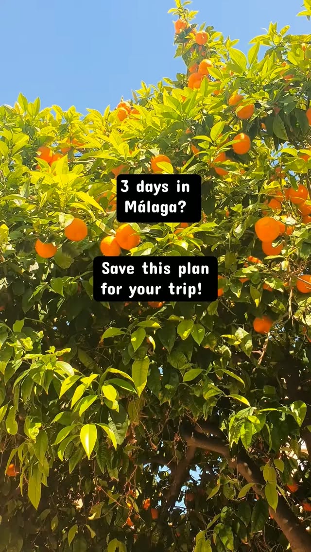 Costa del Sol & Andalucia, Alcazaba