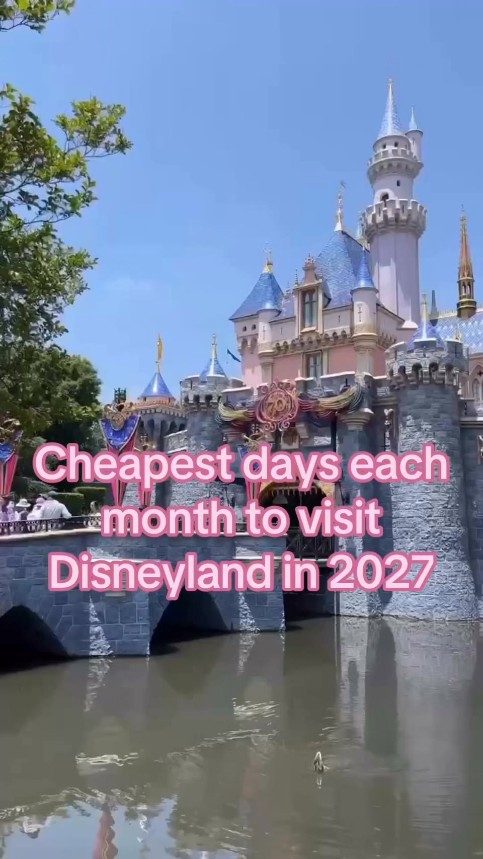 Facebook, Disneyland Park
