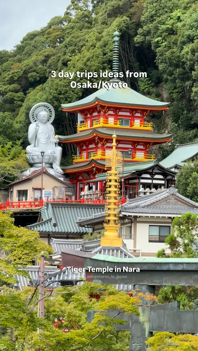 Mari 🇮🇹 • Japan Travel, Kifune Shrine