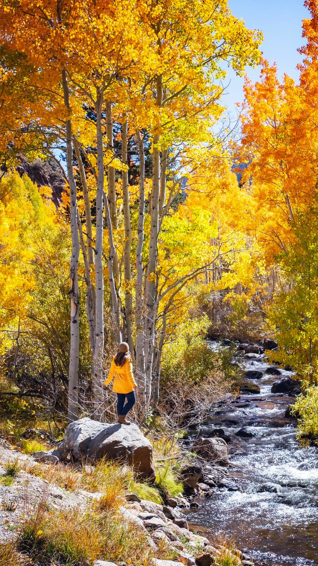 Dawn Marie Dunlap, June Lake