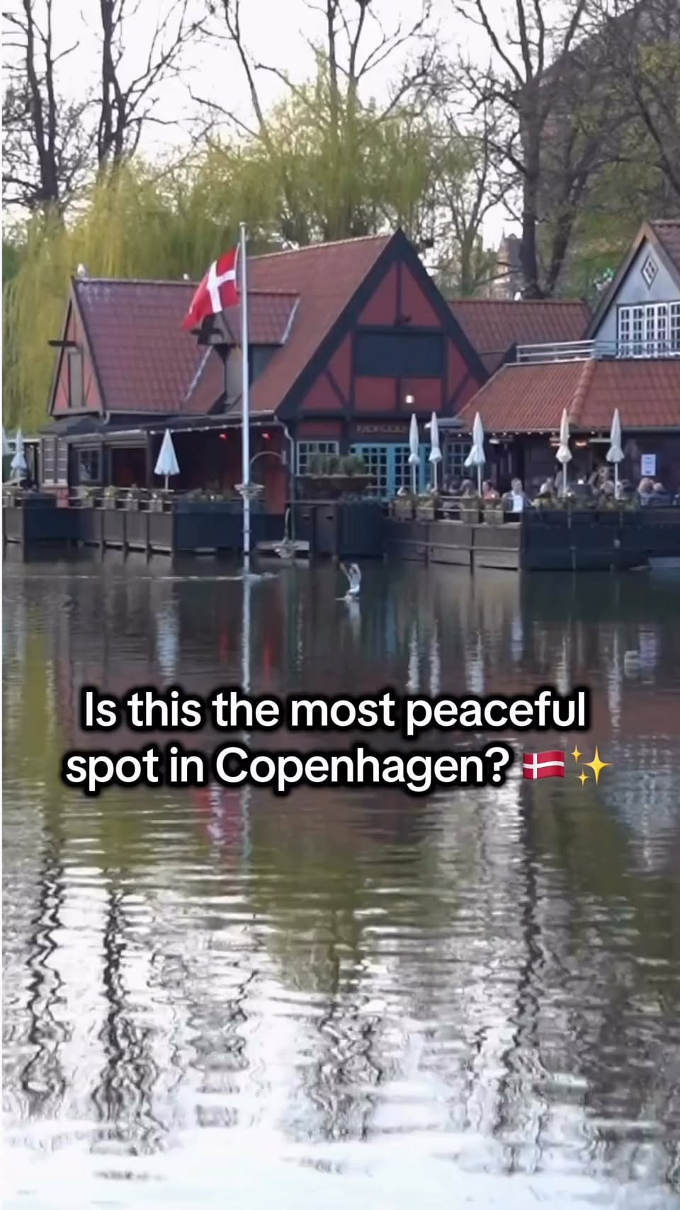 TheCopenhagenGuy, Tivoli Gardens