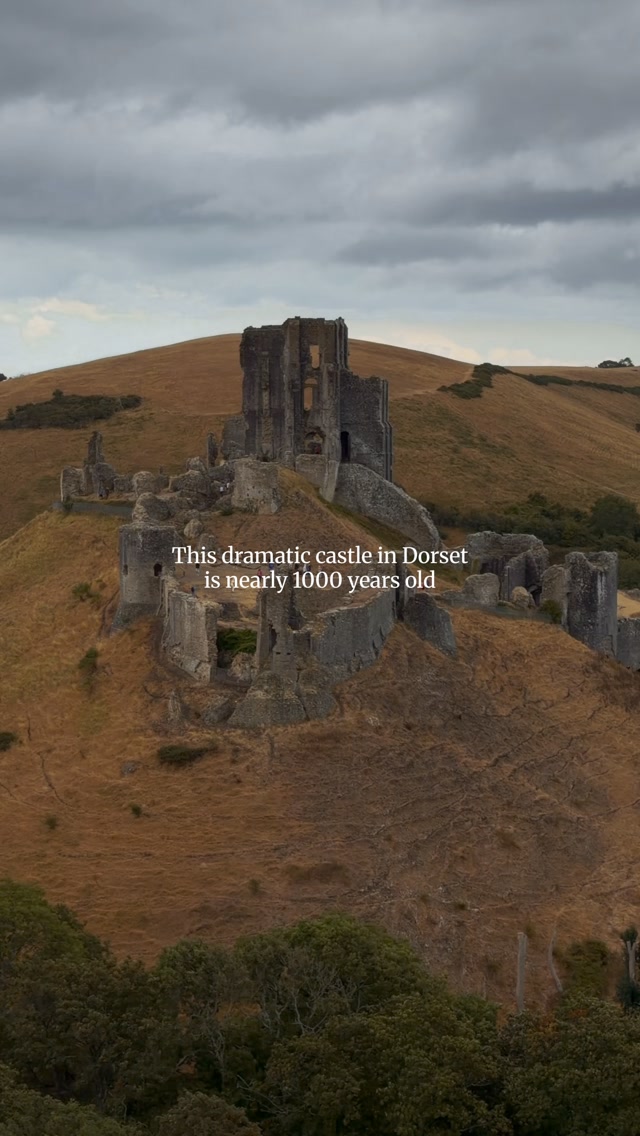 Fleur Anderson, Corfe Castle