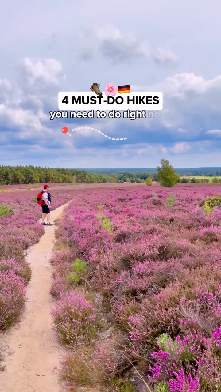 Ryne Cook & Denise Cook | Outdoor Travel, Pestruper Gräberfeld