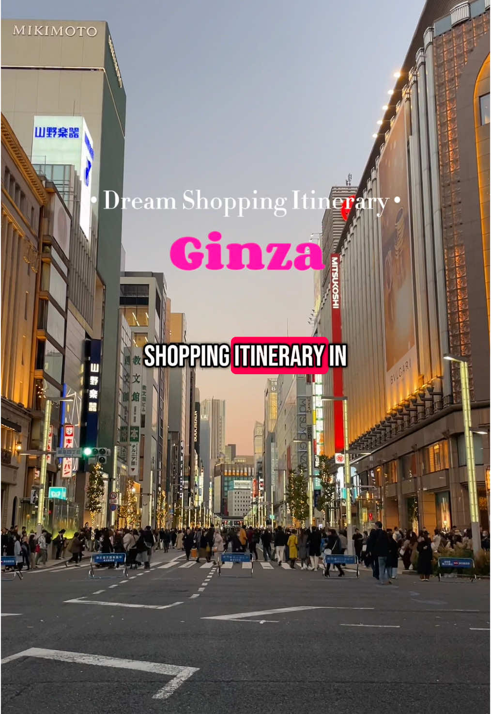 Sara Travels, Tsukiji Outer Market