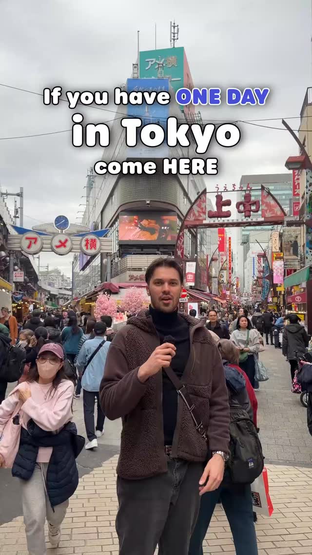 Tours in Japan - TOMOGO!, Ueno Park