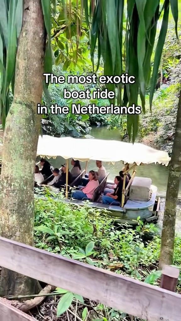Dutch Favourites, Wildlands