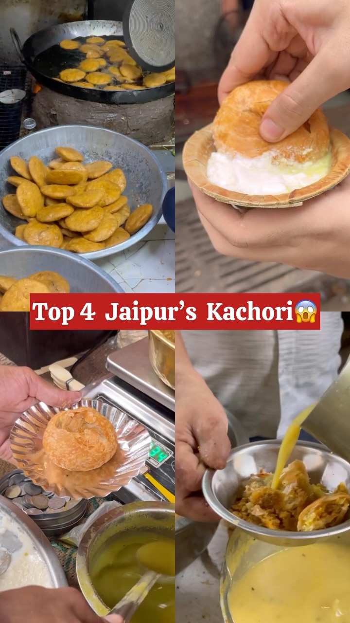 KING DISCOVERS | Delhi Food Blogger, Rawat Misthan Bhandar