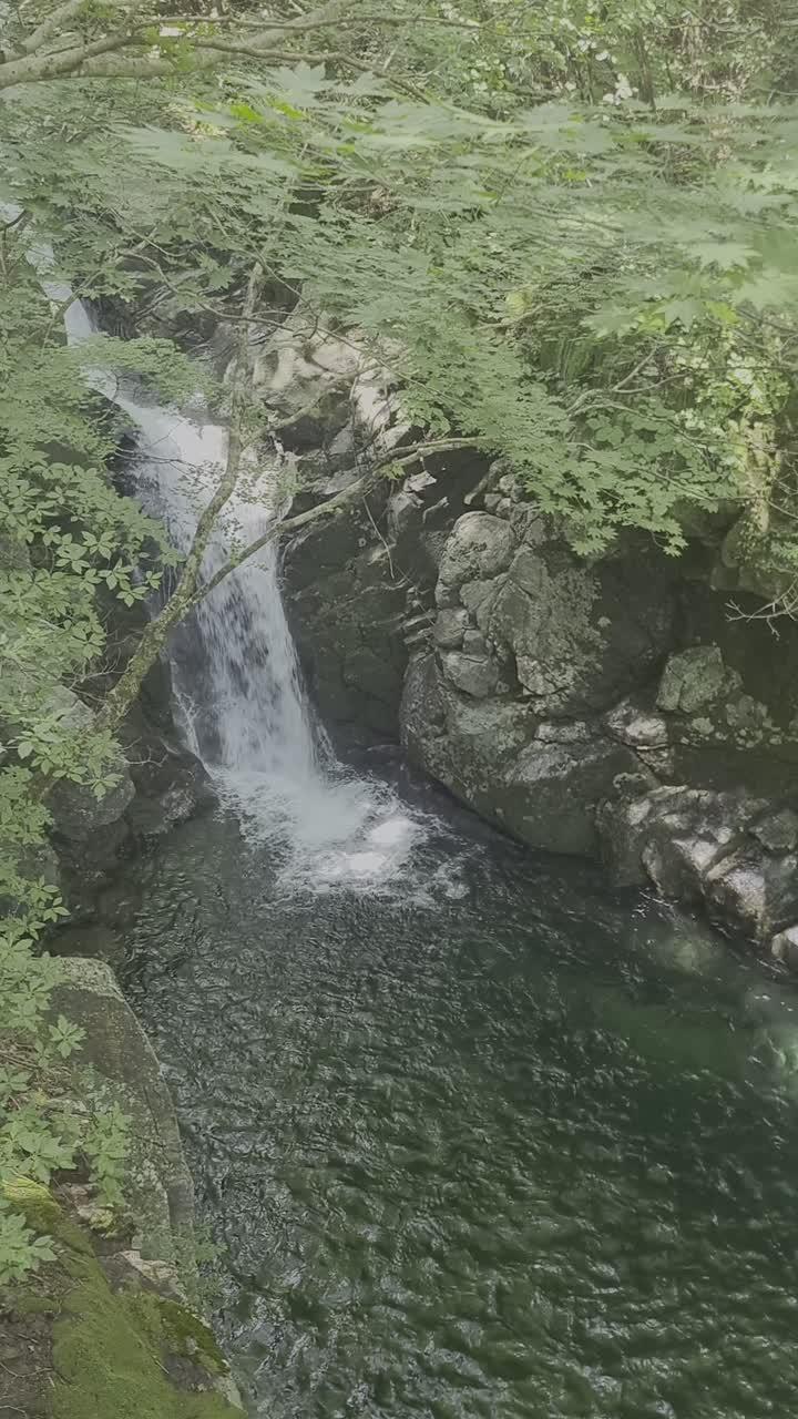 https://d2zmqyh8caa94h.cloudfront.net/user_videos/10839/4348f61c-a4b8-4415-8fb0-db20a133980d.mp4