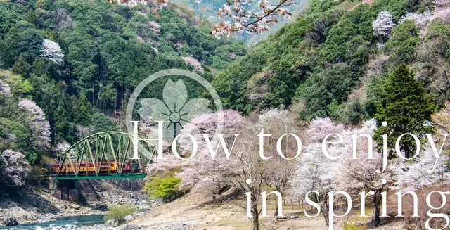 Hozugawa River Boat Ride (Hozugawa Kudari)