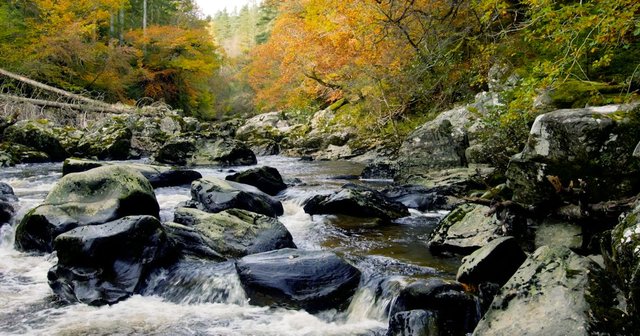 The Hermitage (National Trust for Scotland)