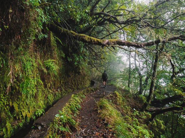Levada do Caldeirão Verde